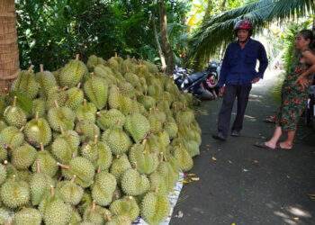China says Vietnam durian, jackfruit shipments tainted