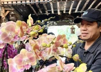 Có tiền tỷ hãy nghĩ tới chuyện khởi nghiệp lan kết hợp gỗ lũa