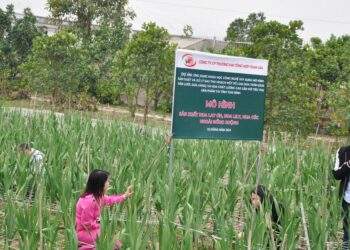 Công ty Toan Vân đưa khoa học công nghệ vào sản xuất hoa quả chất lượng cao