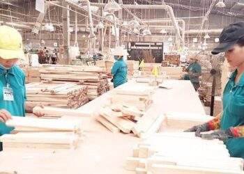 Doanh nghiệp gỗ Bình Định đặt mục tiêu xuất khẩu đạt 1,2 tỷ USD trong năm mới