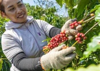 Doanh nhân tỉ đô và câu chuyện đi làm sáng mùng 1 tết