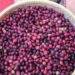 Đồng loạt tăng mạnh, Robusta trở lại mốc 5.000 USD/tấn