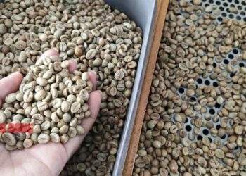 Dự báo bất ngờ cho cả năm 2025