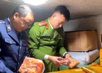 Hà Nội phát hiện hàng chục tấn nội tạng động vật không rõ nguồn gốc