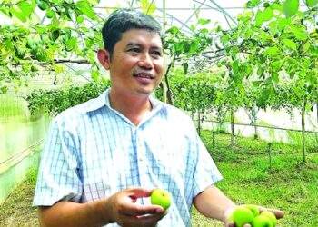Khát khao tạo giá trị mới cho trái táo