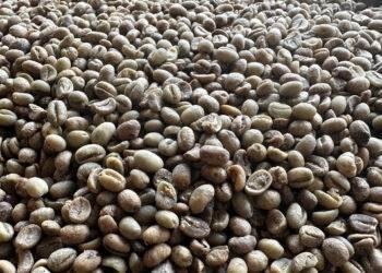 Mở hàng đầu năm, cà phê Việt Nam thu về 10.000 tỷ đồng