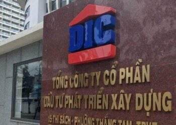 Nhìn lại đường tư nhân hóa DIC Corp