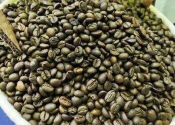 Những câu chuyện 50 năm mới diễn ra một lần