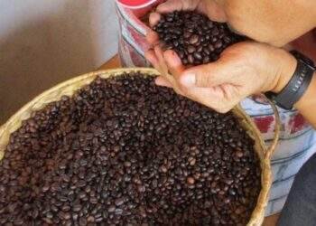 Tăng dữ dội, tiến sát mức kỷ lục