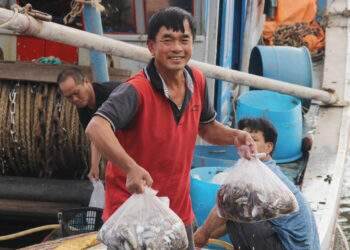 Tàu thuyền về cảng nghỉ Tết đầy ắp tôm cá, chủ tàu bỏ túi trăm triệu
