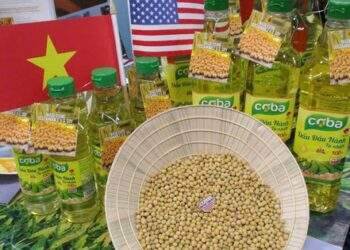 "Thủ phủ chăn nuôi" cầu cứu Chính phủ, hiến kế tăng nhập nông sản Mỹ