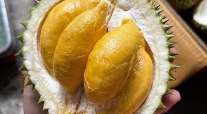 Vietnam spends $11.8M on durian imports