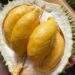 Vietnam spends $11.8M on durian imports