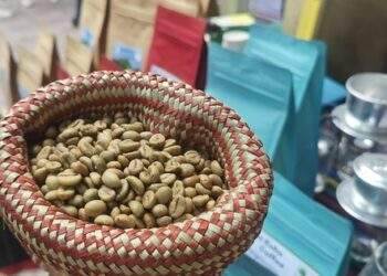 Vượt kỷ lục rồi lao dốc