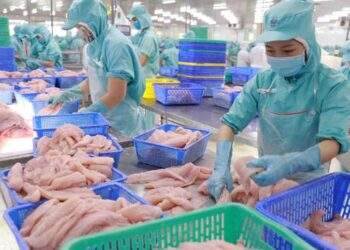 Vượt qua Nhật Bản, Việt Nam giữ vị trí đối tác xuất khẩu thủy sản lớn thứ 5 tại Singapore