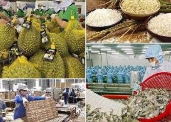 Xuất khẩu nông, lâm, thủy sản phấn đấu đạt 100 tỷ USD