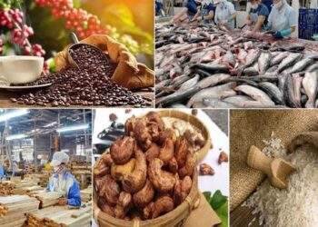 Xuất khẩu nông sản cần lưu ý những thay đổi về SPS từ các thị trường nhập khẩu