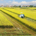 Bộ Tài chính đề xuất miễn tiền thuê đất lên tới 15 năm cho dự án đầu tư nông nghiệp
