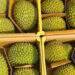Fruit, vegetable exports decline as China raises quality bar