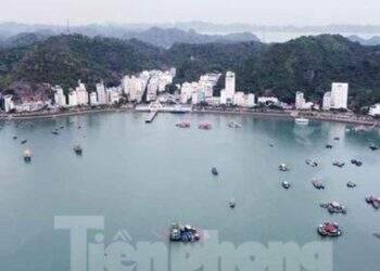 Hai lần đấu giá bất thành tài sản làm dự án du lịch cao cấp ở Cát Bà
