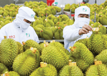 Hành trình dựng xây thương hiệu nông sản Việt thành danh trên đất Úc