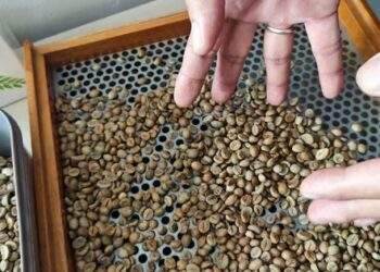 Mọi kỷ lục đều bị phá vỡ