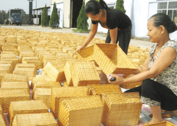 Nghề cỏ tế vươn theo kinh tế xanh