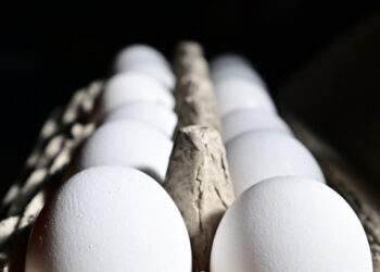 Quiz: How has US egg price changed in 20 years?