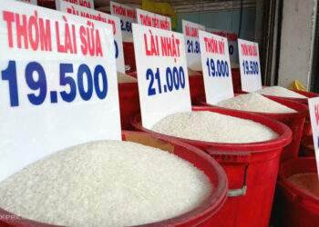 Retail rice prices remain high amid 9-year low export prices