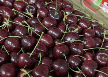 Sự thật cherry Chile giảm giá ‘sập sàn’, còn 100 nghìn/kg bán la liệt ở chợ Việt