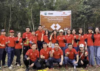 Techcombank tham gia trồng 20.000 cây xanh, hưởng ứng Tết trồng cây