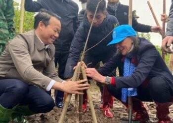 Tết trồng cây 2025: Trồng rừng ngập mặn để bảo vệ người dân ven biển trước thiên tai