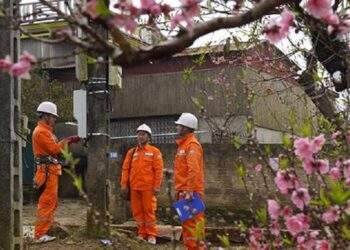Tiêu thụ điện giảm trong kỳ nghỉ Tết