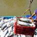 Vietnam secures top five spot in Singapore's seafood market