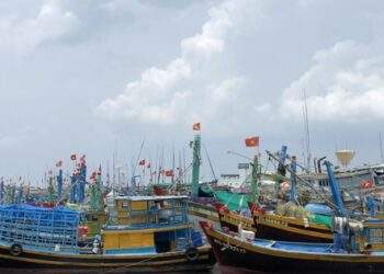 doanh nghiệp đề xuất đầu tư tàu chế biến hải sản trên vùng biển Bình Thuận