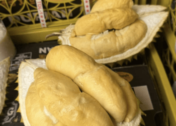 ‘Vua trái cây’ đổ bộ chợ Hà Nội, hàng thượng hạng giá chỉ 40.000 đồng/kg