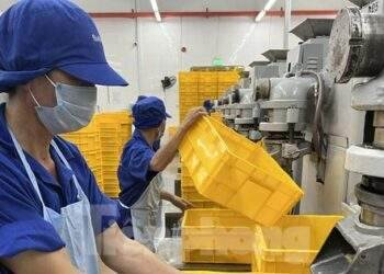 Dày đặc 'chướng ngại vật' trên con đường vay vốn