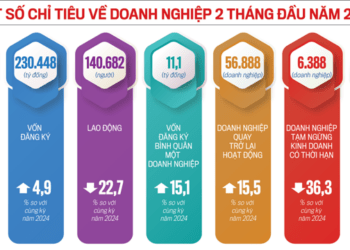 Giáo dục và truyền thông là lĩnh vực có số doanh nghiệp thành lập mới tăng trong 2 tháng năm 2025