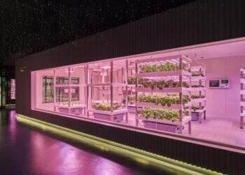Hà Nội đặt mục tiêu mỗi năm tăng 10-20% số mô hình ứng dụng công nghệ cao trong nông nghiệp