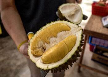 Malaysia eyes 25% spike in durian exports to China