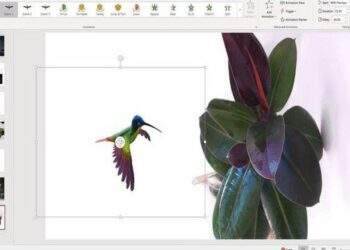 Microsoft bổ sung tính năng mới cho PowerPoint và Word trong tháng 11