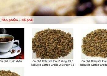 Một công ty xuất khẩu Robusta tạm dừng cuộc chơi
