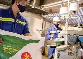 Năm 2024, doanh nghiệp sản xuất phân bón lần lượt báo tin vui kinh doanh