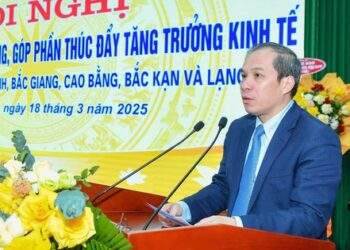 Phó Thống đốc nói gì?