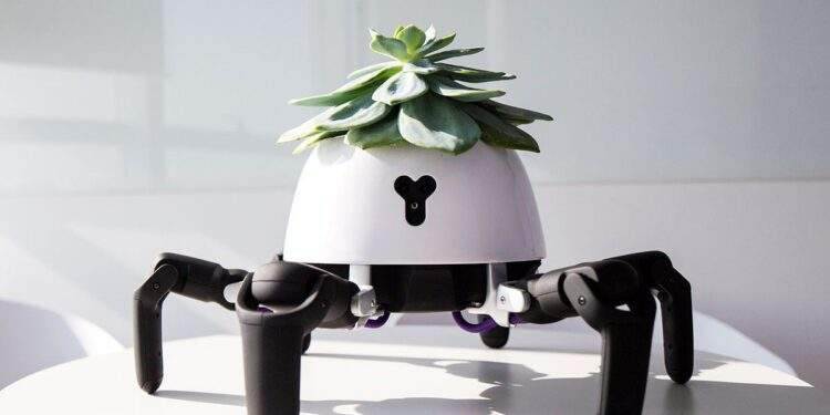 Robot trồng cây có thể tự di chuyển về phía ánh sáng