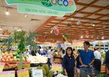 Saigon Co.op cạnh tranh bằng thương mại điện tử