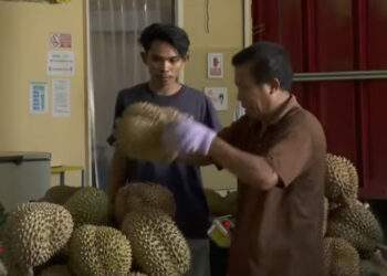 Sầu riêng Việt Nam thêm đối thủ ở Trung Quốc