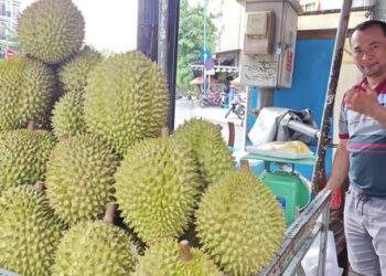 Sầu riêng tăng giá nóng trong ngày 23-3