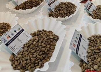 Tăng nóng, có thể lập đỉnh 135.000 đồng/kg