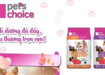 Tập đoàn Mavin ra mắt hệ sinh thái thú cưng Pets Choice